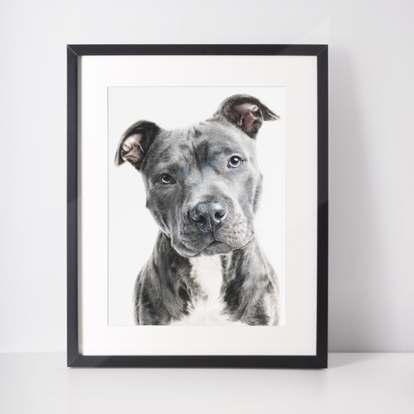 American Grey Pit Bull Terrier Watercolor Wall Art Print Poster - Unframed - Picture 3 of 5